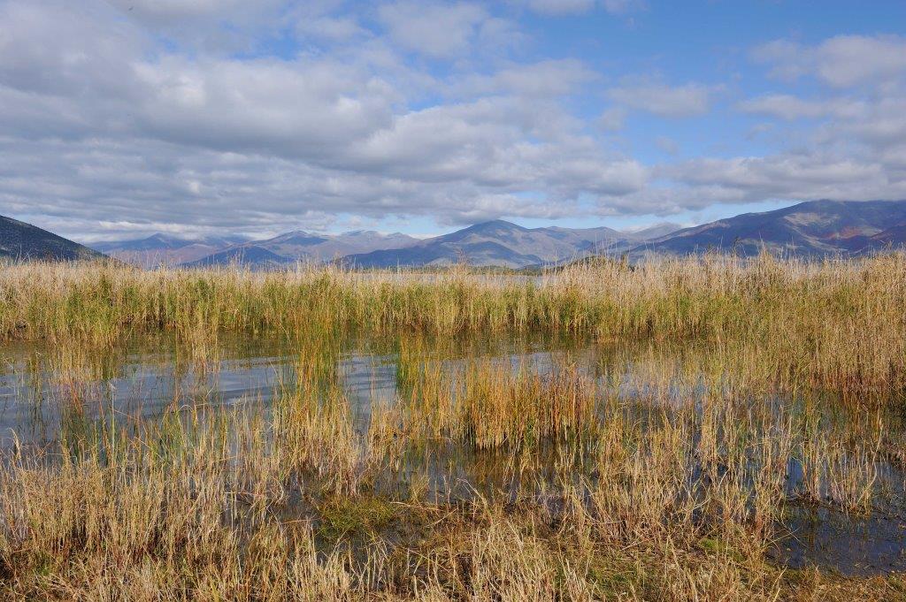 Lake Prespa wetlands